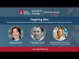 Targeting Zika: VLP Vaccines with Authentic Quaternary Epitopes for Enhanced Protection
