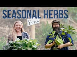 PODCAST: Herbs for Every Season (with Bevin Cohen) | Pantry Chat