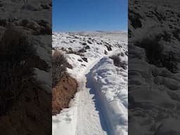 Fat biking Hartman Rocks in Gunnison, Colorado #fatbiking