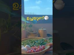 Minivlog #myhomemyheaven #lunch #cooking #minivlog