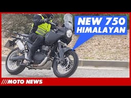 Moto News: Enfield's 750 Himalayan Spied, XSR125 Update, MT-09 Hybrid!