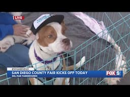 San Diego County Fair preview with puppies