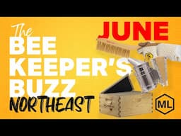 The Beekeeper's Buzz Northeast Region: June 2025