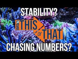 Chasing Numbers vs. Stability – What REALLY Matters in Your Reef Tank?