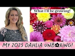 My 2025 Dahlia unboxing #southern Yankee gardening, #dahlia unboxing