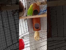 😄😄