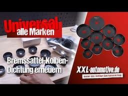 So wechselst du die äußere Bremskolben-Dichtung / Staubmanschette am Bremssattel!