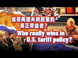 Who really wins in U.S. tariff policy?
