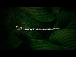 Transmissão ao vivo de Recanto da Razão Ambiental