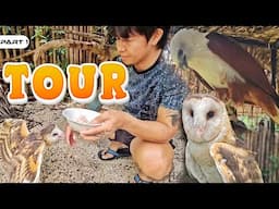 P1 - Tour sa Aviary ni Harabas at Nagluto ng Kiniing - EP1923