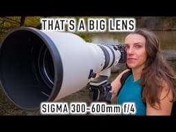 Sigma 300-600mm f/4 DG OS Sports - The Biggest and Baddest Super Telephoto for E and L Mount