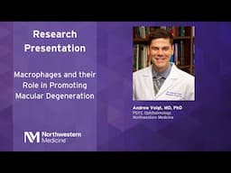 Macrophages and Their Role in Promoting Macular Degeneration