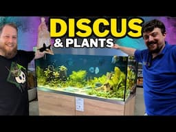 Fish and plants added to our 400L aquarium! My old aquarium shop! Part 2