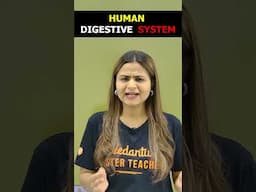 💥 Digestive System Important MCQ | Class 10 Biology | Life Processes