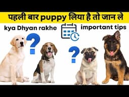 पहली बार puppy लिया है तो जान ले :new pet parents must know this