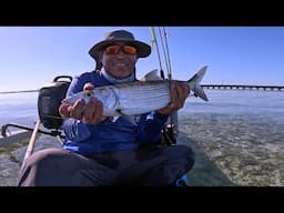 Florida Keys 7-Mile Bridge Infested With Bonefish.