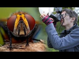 My #1 Trick  for Finding Insects - Macro Walks ep14