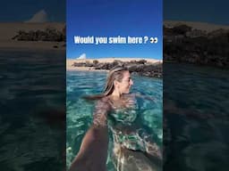 Your friendly reminder to get your daily dose of #vitaminsea #fuerteventura #turquoisewaters #grwm