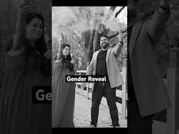 Twins Gender Reveal