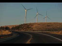 It’s (Still) Not Easy Going Green: Bonus Episode