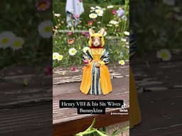 Henry VIII’s 6 wives told by Bunnykins 🐰👑 #history  #tudor #henryviii #tudorhistory #royal
