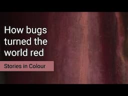 How bugs turned the world red | Stories in Colour Podcast S1 Ep3 | National Gallery