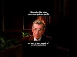 Noam Chomsky on private profit
