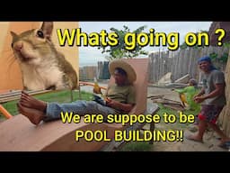 Swimming Pool Project Part 8 Buying Pool tiles, Building Concrete Spa Loungers and Mmore