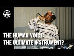 Why Vocals are Amazing | Vocal Processing Ideas