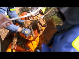 Vier Ziegen in altes Tanklager in Schafstedt gefallen