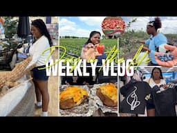 A Day at the Farm: Strawberry & Blueberry Picking + HomeGoods & Twice Baked Potatoes