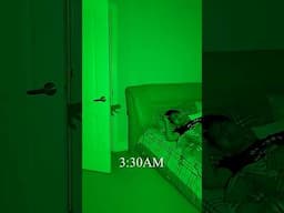 JOHN PORK CALLED ME, And THEN THIS HAPPENED..!😱 PT 3 (CLICK ABOVE 👆🏻) #SummerOnShorts