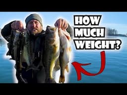 Live Scope Used Winter Bass Fishing Lake Anna, VA | BIG fish Caught