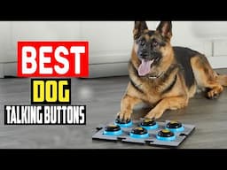 ✅Top 5 Best Dog Talking Buttons in 2025