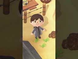Animal Crossing Tips I WISH I Knew Sooner!