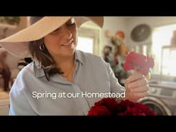 Spring on our Homestead | Opening Day of Our Farmstand & Refreshing The Kitchen
