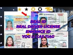 REAL ID, DRIVER LICENSE, ENHANCE ID: DAIM TWG THIAJ YOG, LWM YAM NTAUB NTAWV TWG THIAJ SIV TAU TIAG