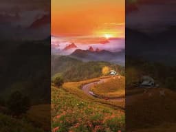 “Have Faith in Allah | Trust His Plan in Difficult Times” #islamicshorts #faith  #tawakkul