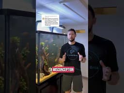How I Do Maintenance on a Tall Aquarium