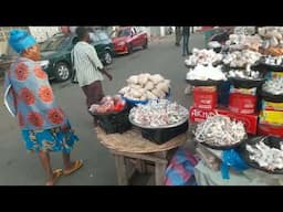 Search For 1 USA Product in Togo West Africa