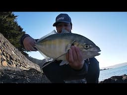 WELLINGTON SURFCASTING | APRIL - JUNE  2025