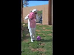 Easter at the Phoenix Zoo!