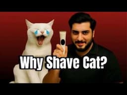 Do Cats Need to be shaved in the summer? Don't Make This Cat Grooming MISTAKE in Summer
