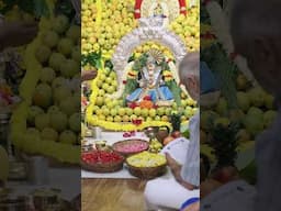 A Visual Showcase of Lord Ganesha’s Mango Majesty 🥭🍃 #ganesha #bappa #bappamorya #bgu #mango