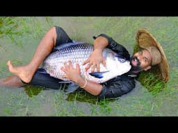 Giant Fish Recipe With Rain | മീനെ മുഴുവനായി കറിവെച്ചാലോ | M4 Tech |