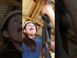 CRAZY ZIPLINE IN THE PHILIPPINES | El Nido Zipline
