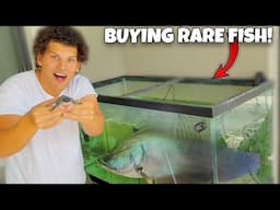 I Found An EXOTIC FISH That WENT EXTINCT!
