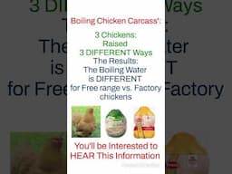 Boiling Chicken: Free Range vs. Factory: OBVIOUS DIFFERENCE