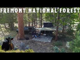 Lakeside Camping with Cows in the Fremont National Forest | Central Oregon | June 2025
