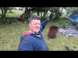 Chainsaw Cutting 3 Fallen trees